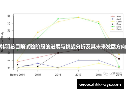 韩羽总目前试验阶段的进展与挑战分析及其未来发展方向